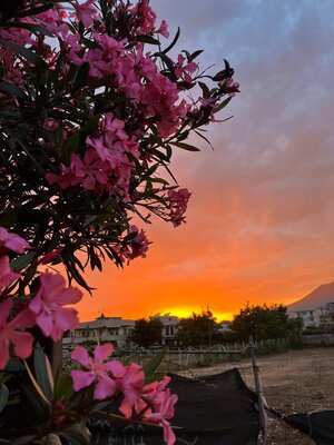 WhatsApp Image 2024-06-01 at 21.17.39